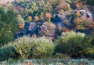 Kambrické (kambrium, geologické období před 500-550 miliony let) skály nad řekou Litavkou s nálezy trilobitů (PP Vinice).
foto: V. Valenta